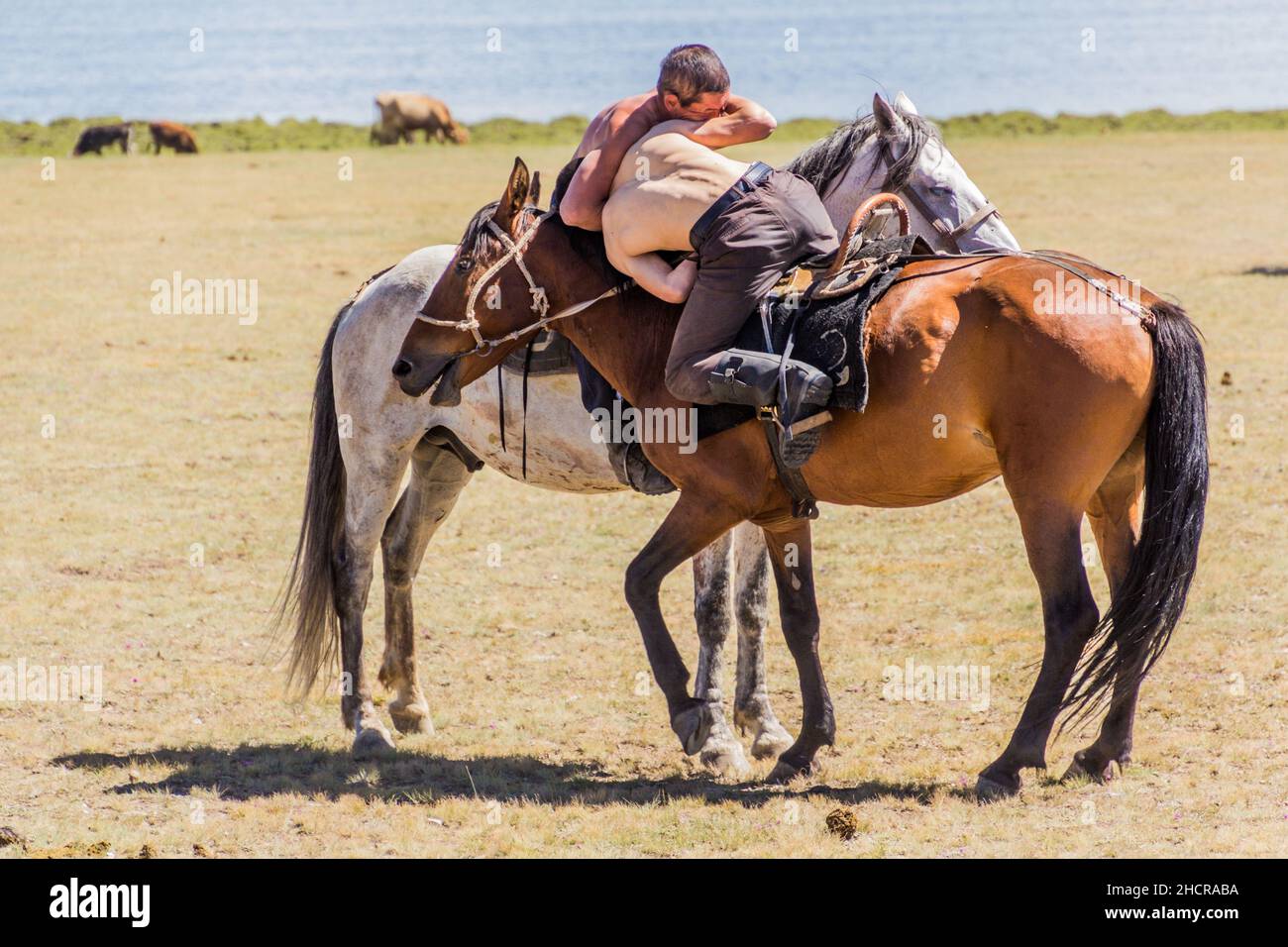 CANZONE KOL, KIRGHIZISTAN - 25 LUGLIO 2018: Lotta a cavallo al National Horse Games Festival sulle rive del lago Son Kol Foto Stock