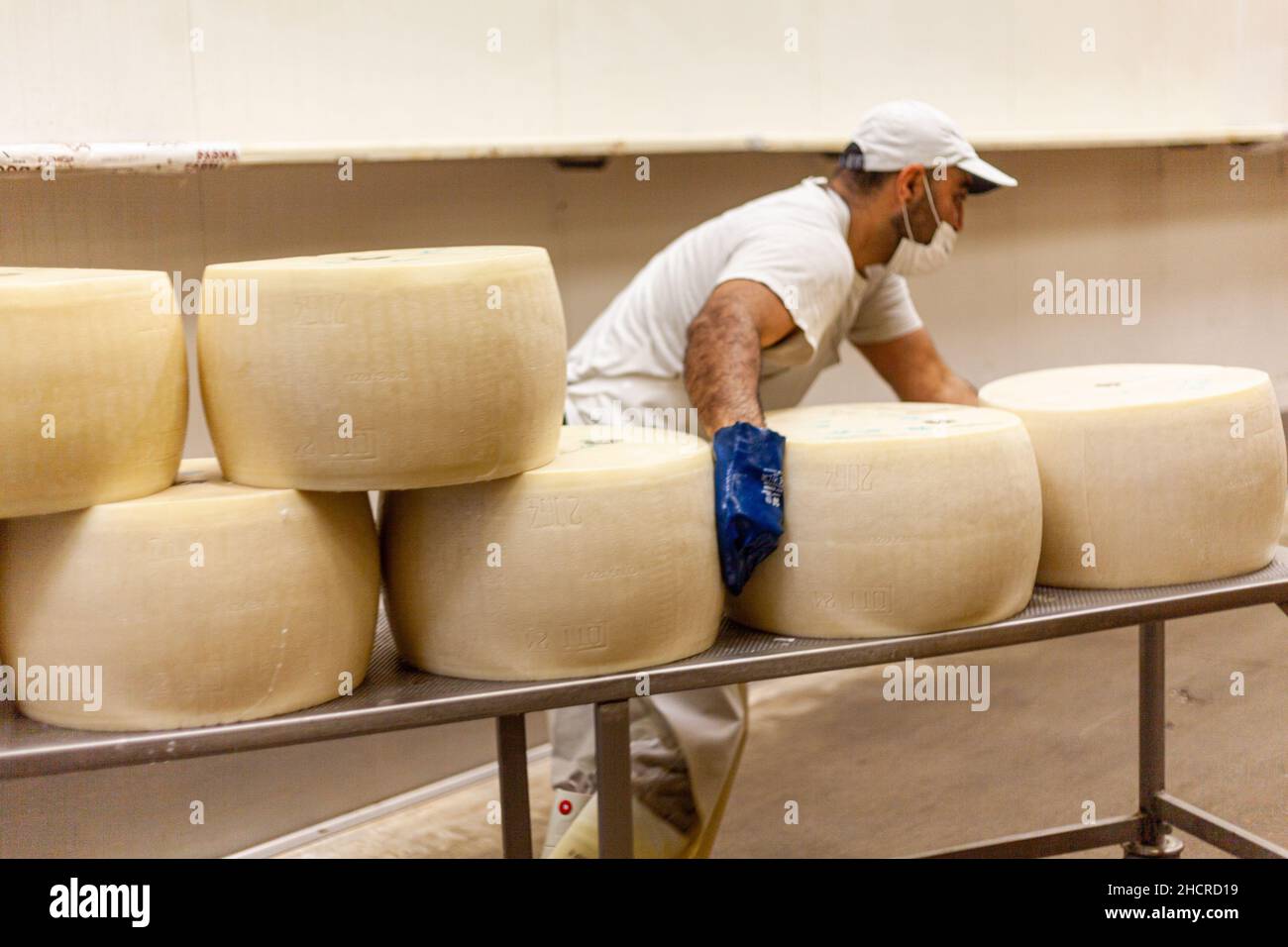 Caseificio, parmense 2064 e operai con uniformi bianche Foto Stock