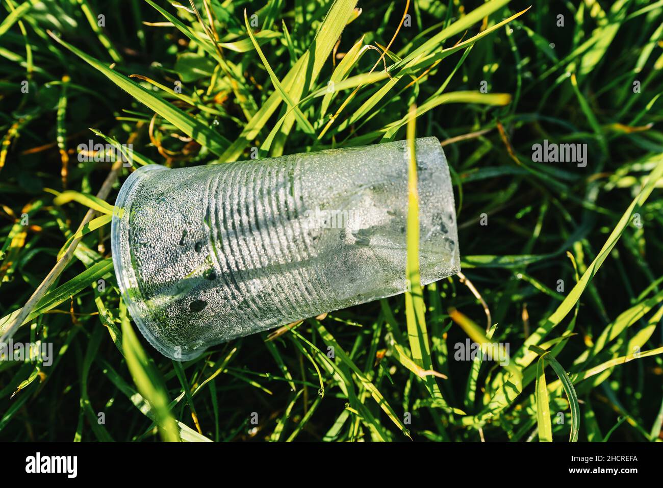 Inquinamento della tazza di plastica su un prato Foto Stock