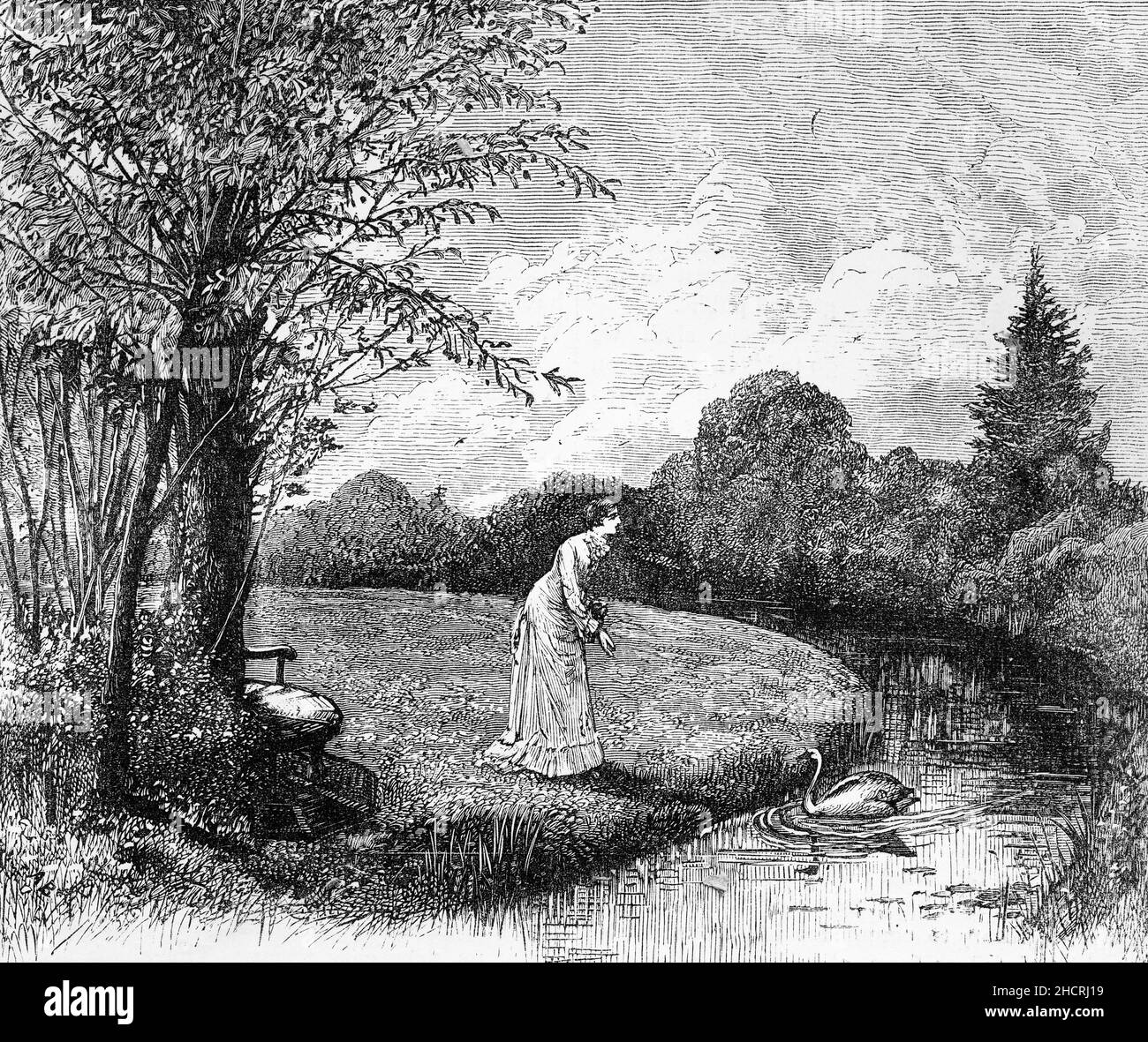 Incisione di una donna matura che alimenta un cigno, circa 1890 Foto Stock