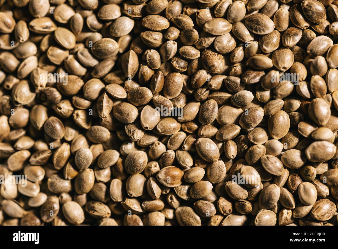 fondo di semi di canapa organico essiccato Foto Stock