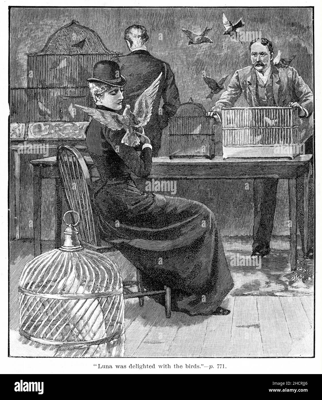 Incisione di una donna dell'era victoria circondata da uccelli da compagnia in un negozio, pubblicato nel 1892 Foto Stock