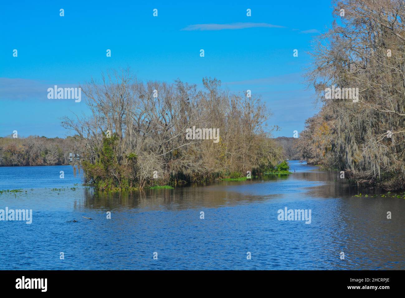 La vista di Manatee Springs e del fiume Suwannee. Il Manatee Springs state Park si trova a Chiefland, Florida Foto Stock