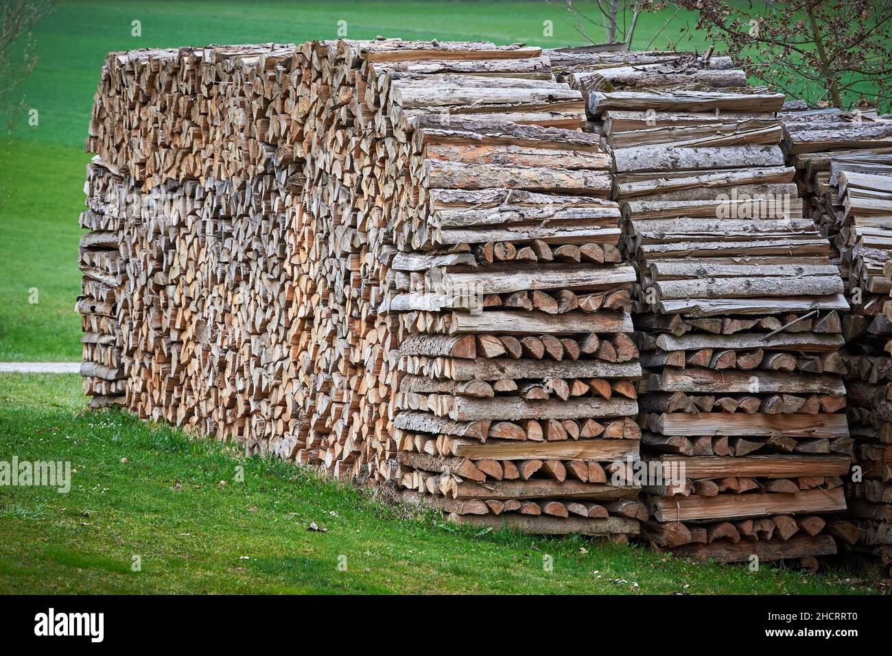 Grande mucchio di legno vicino alla strada Foto Stock