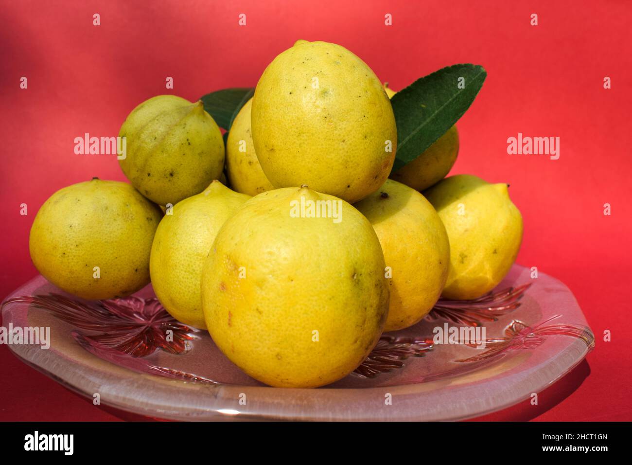 Fresco giallo grosso mucchio di limoni accatastati disposti con foglie di limone su un piatto con fondo rosso Foto Stock