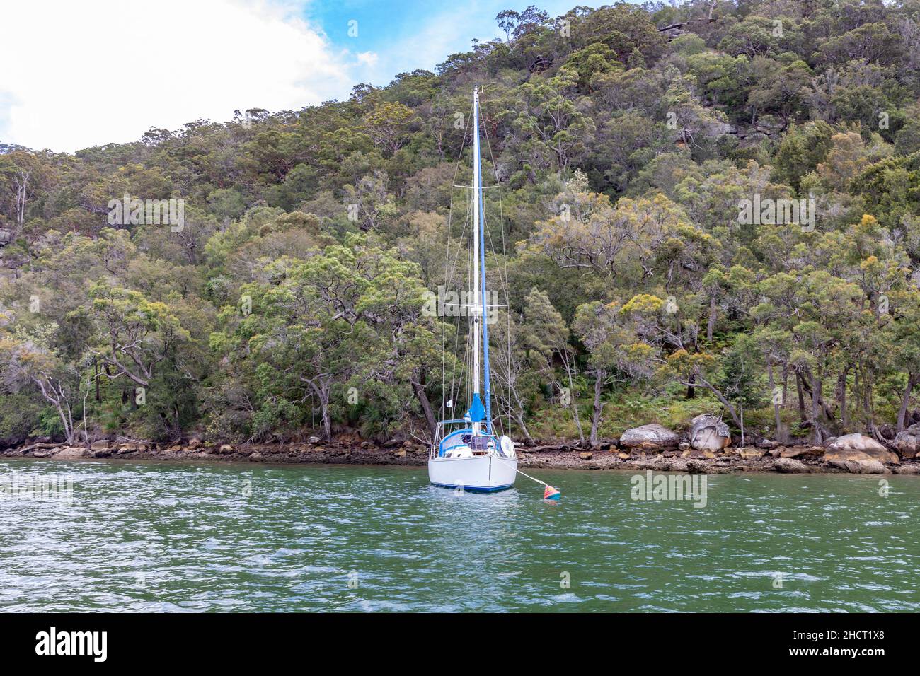 Yacht Moore indossa una boa in Refuge Bay sul fiume Hawkesbury, Sydney, Australia con parco nazionale bush dietro Foto Stock