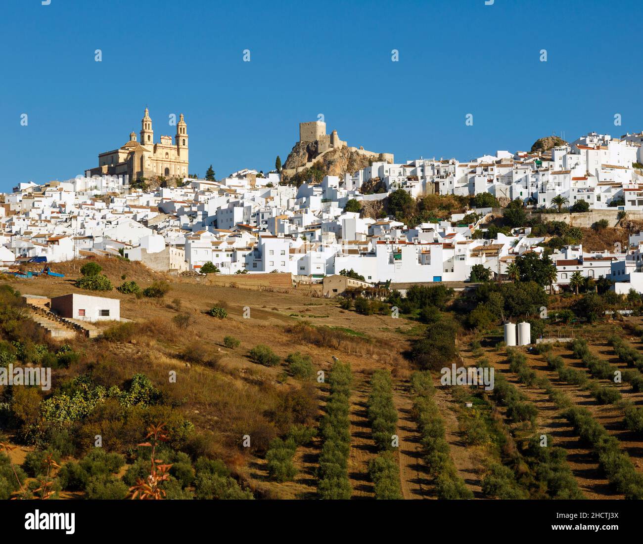 Olvera, Provincia di Cadice, Andalusia, Spagna meridionale. Veduta generale della città con Parroquia de Nuestra Señora de la Encarnación (la Parrocchia di nostra Signora di Foto Stock