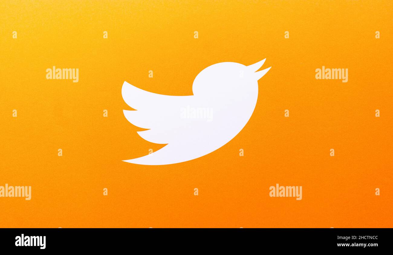 Twitter logotipo uccello stampato su carta. Twitter è un servizio di social networking online che consente agli utenti di inviare e leggere brevi messaggi Foto Stock