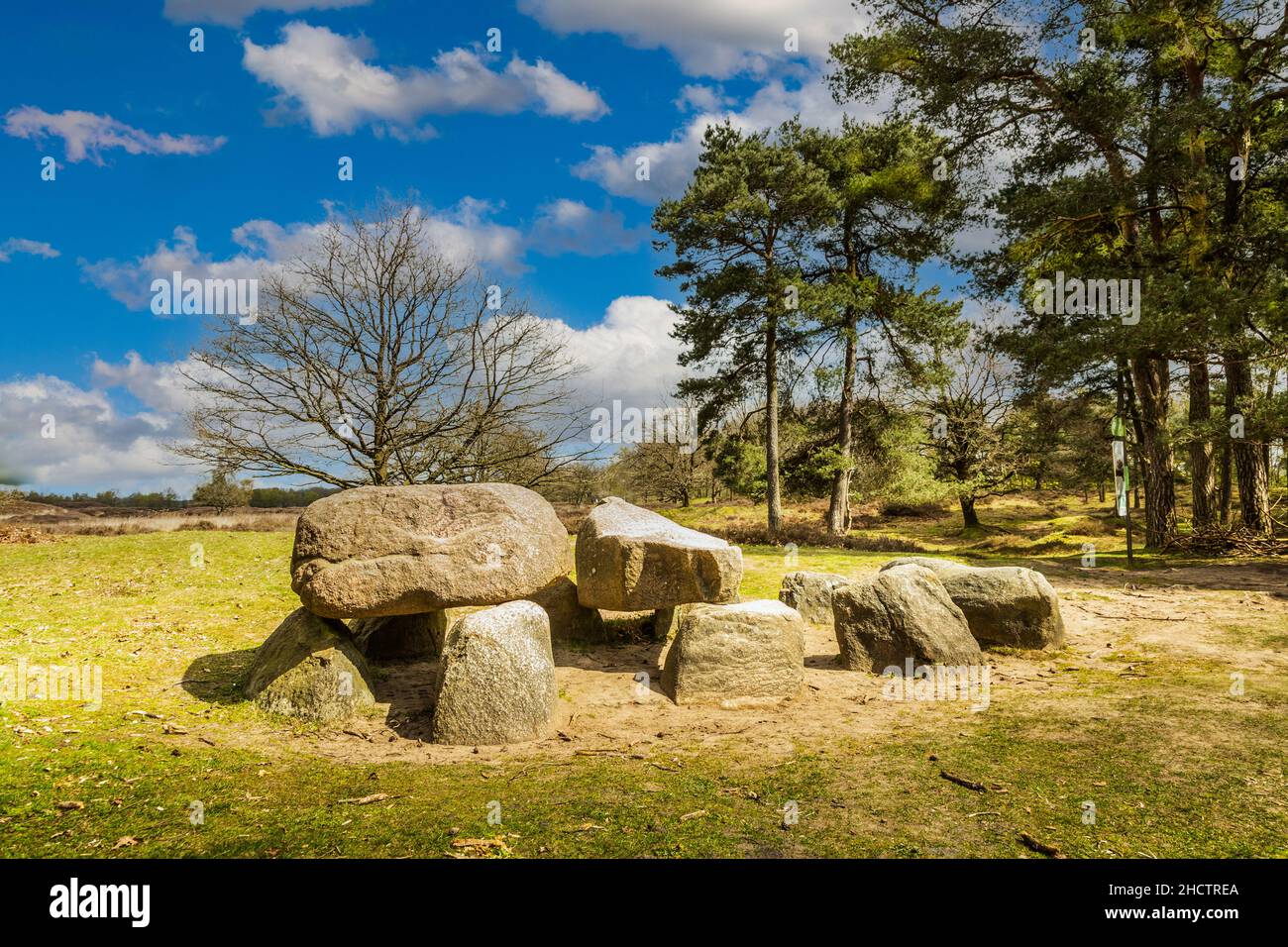 Dolmen D10 nella provincia olandese di Drenthe con uno sfondo di querce. Un dolmen o in olandese un Hunebed è costruzione dalla nuova età della pietra Foto Stock