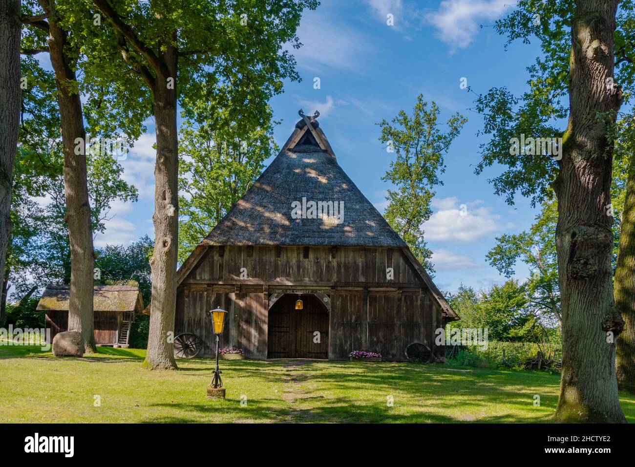 Die Lüneburger Heide in Niedersachsen im Sommer zur Heideblüte Foto Stock