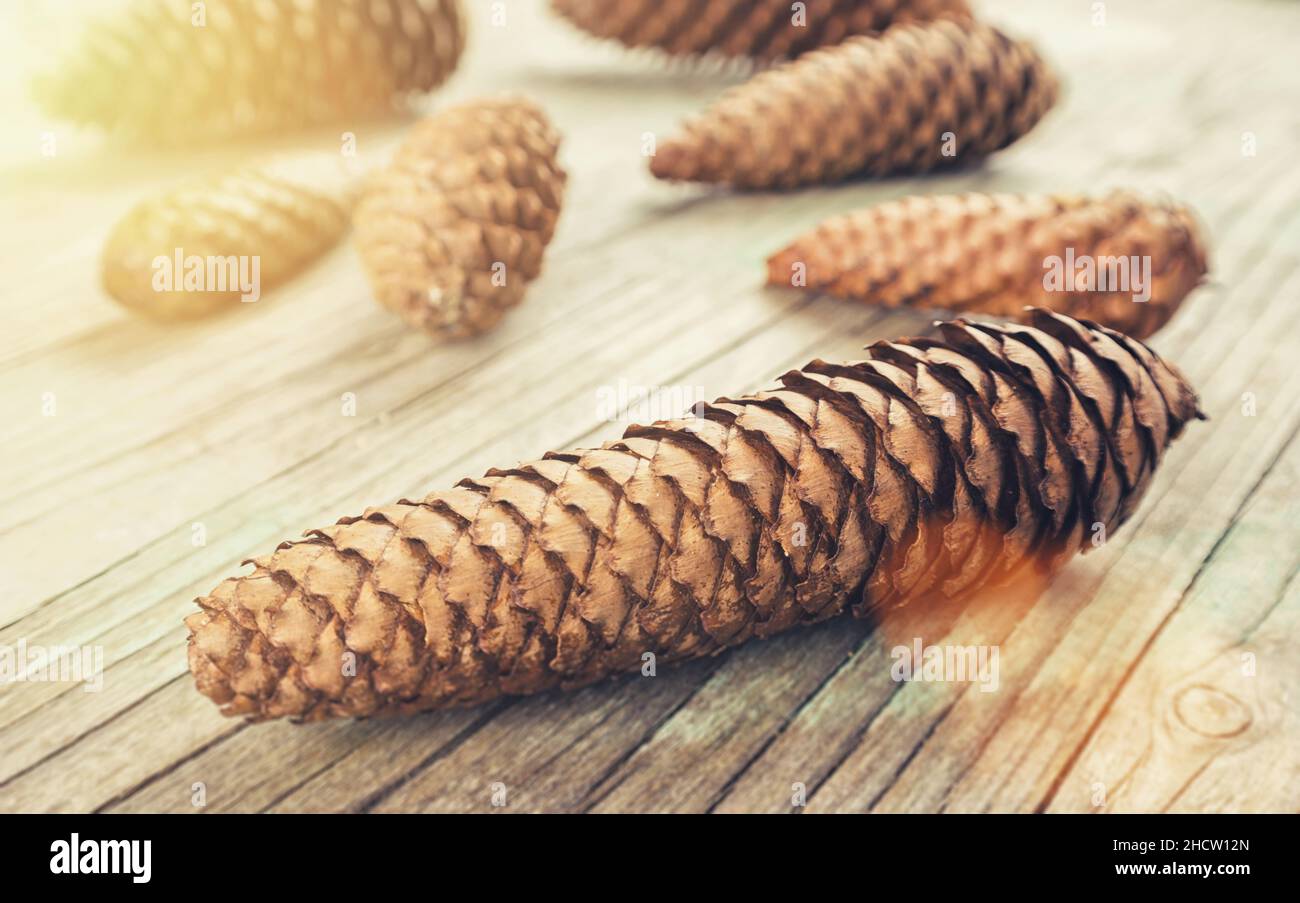 Tavolo di natale con coni di pino Foto Stock