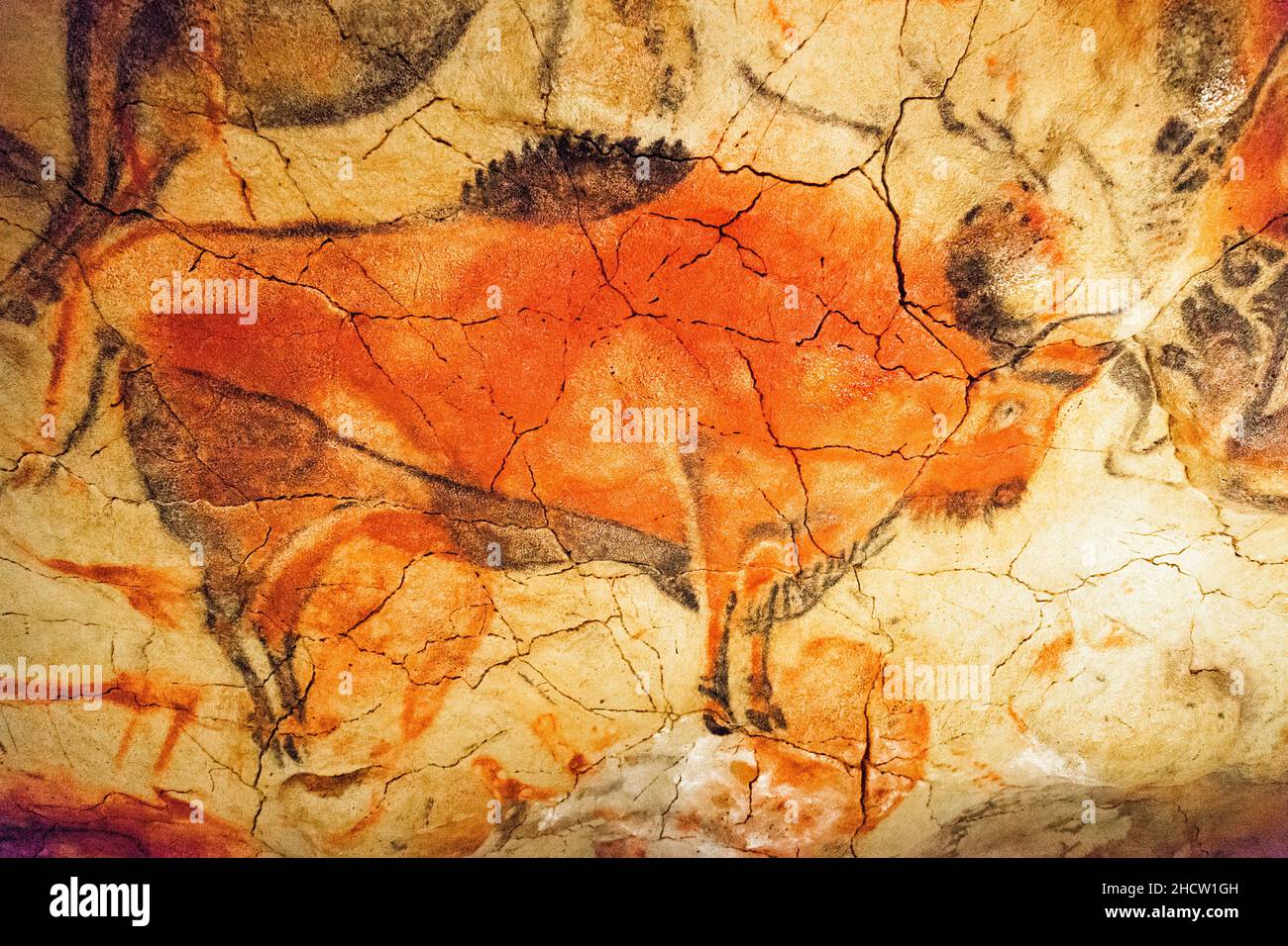 La Grotta di Altamira è un