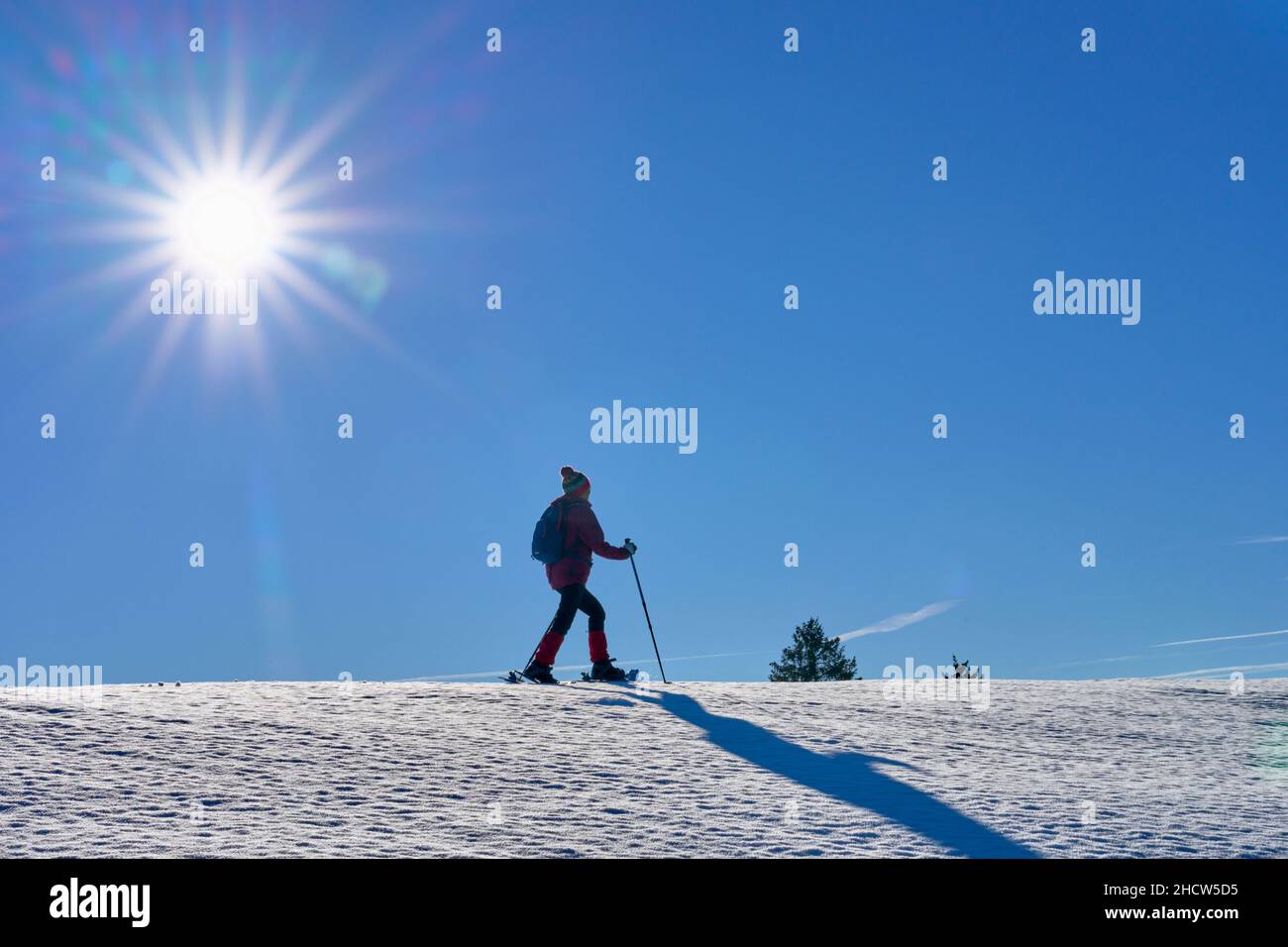 Donna anziana, molto attiva e simpatica, con racchette da neve nelle alpi di Allgau, sopra il lago Alpsee e Immenstadt, Baviera, Germania Foto Stock