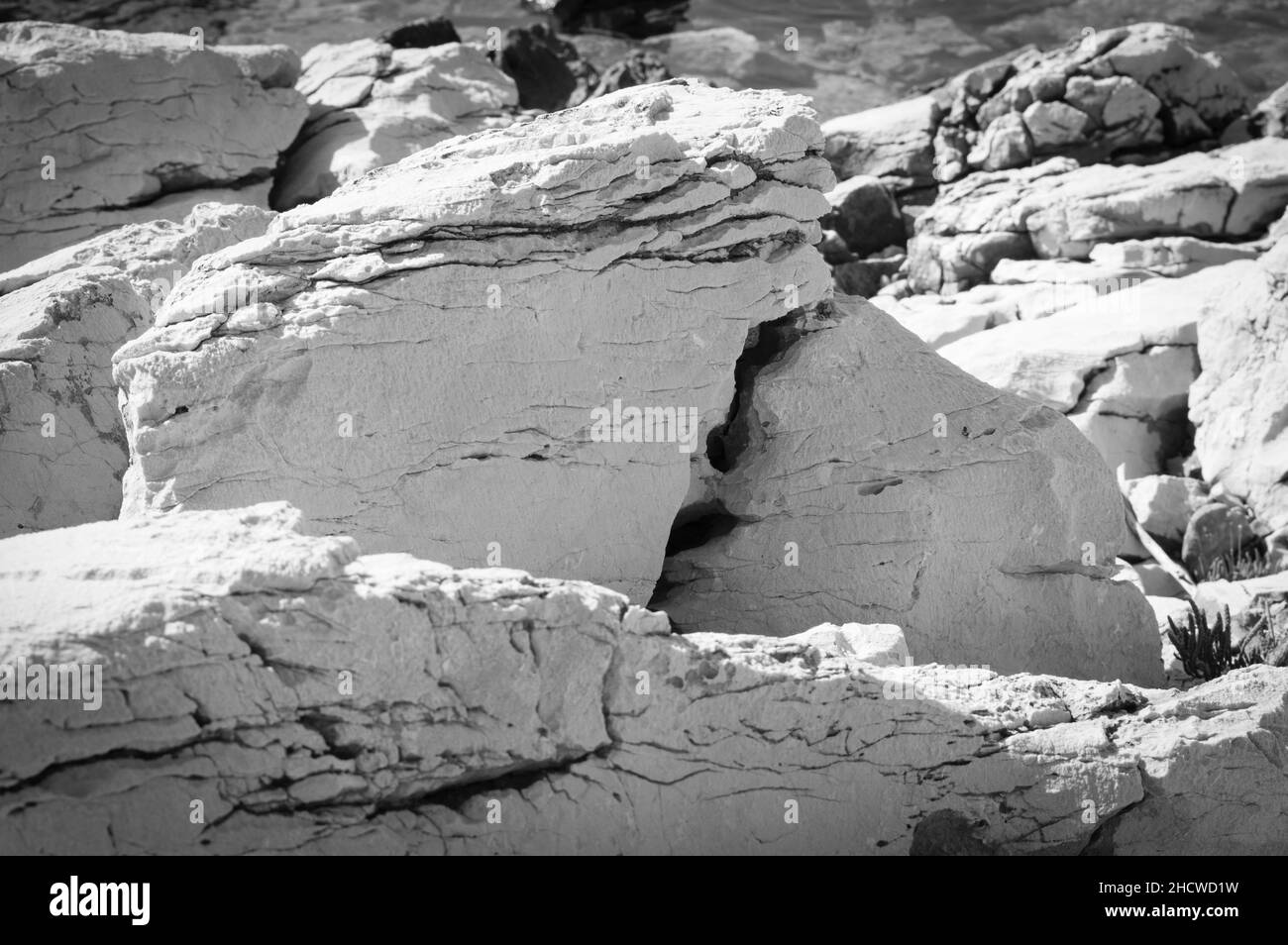 Rocce calcaree della costa adriatica, forme e formazioni insolite, bianche e nere Foto Stock