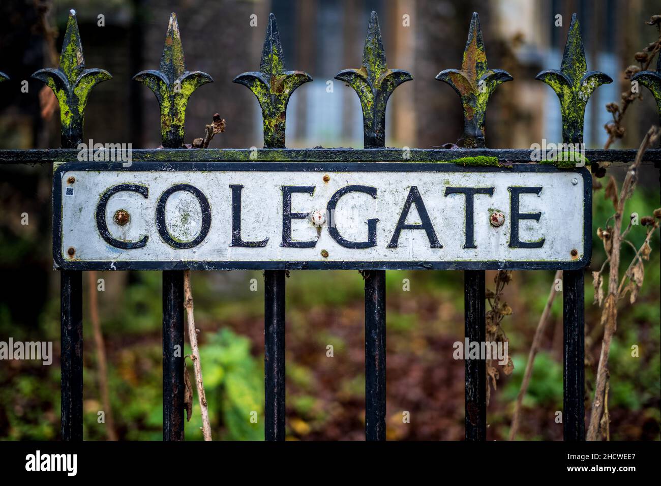 Cartello Colegate Norwich Street. Colegate è un'area storica del centro di Norwich, Norfolk UK, che ospita un'alta concentrazione di edifici storici. Foto Stock