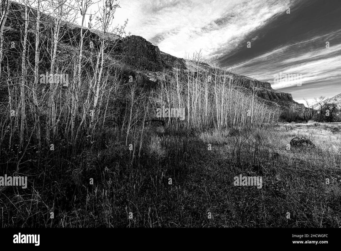 Lungo l'Umtanum Creek Trail, Washington Foto Stock