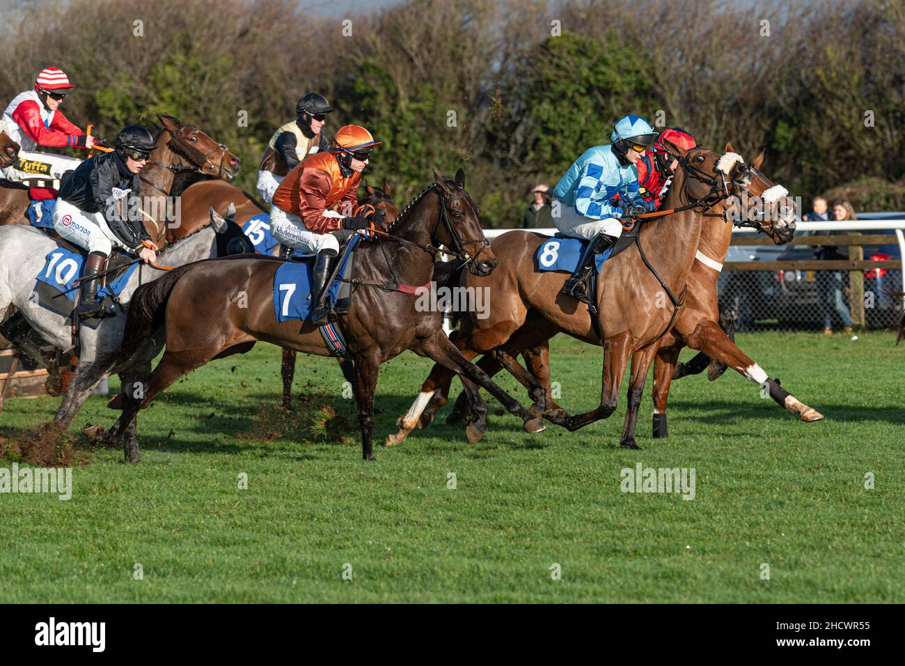 Gare di boxe Day a Wincanton - gara 1 Foto Stock