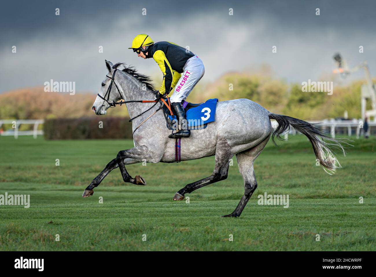 Prezioso Eleonora a Wincanton il giorno di Santo Stefano Foto Stock