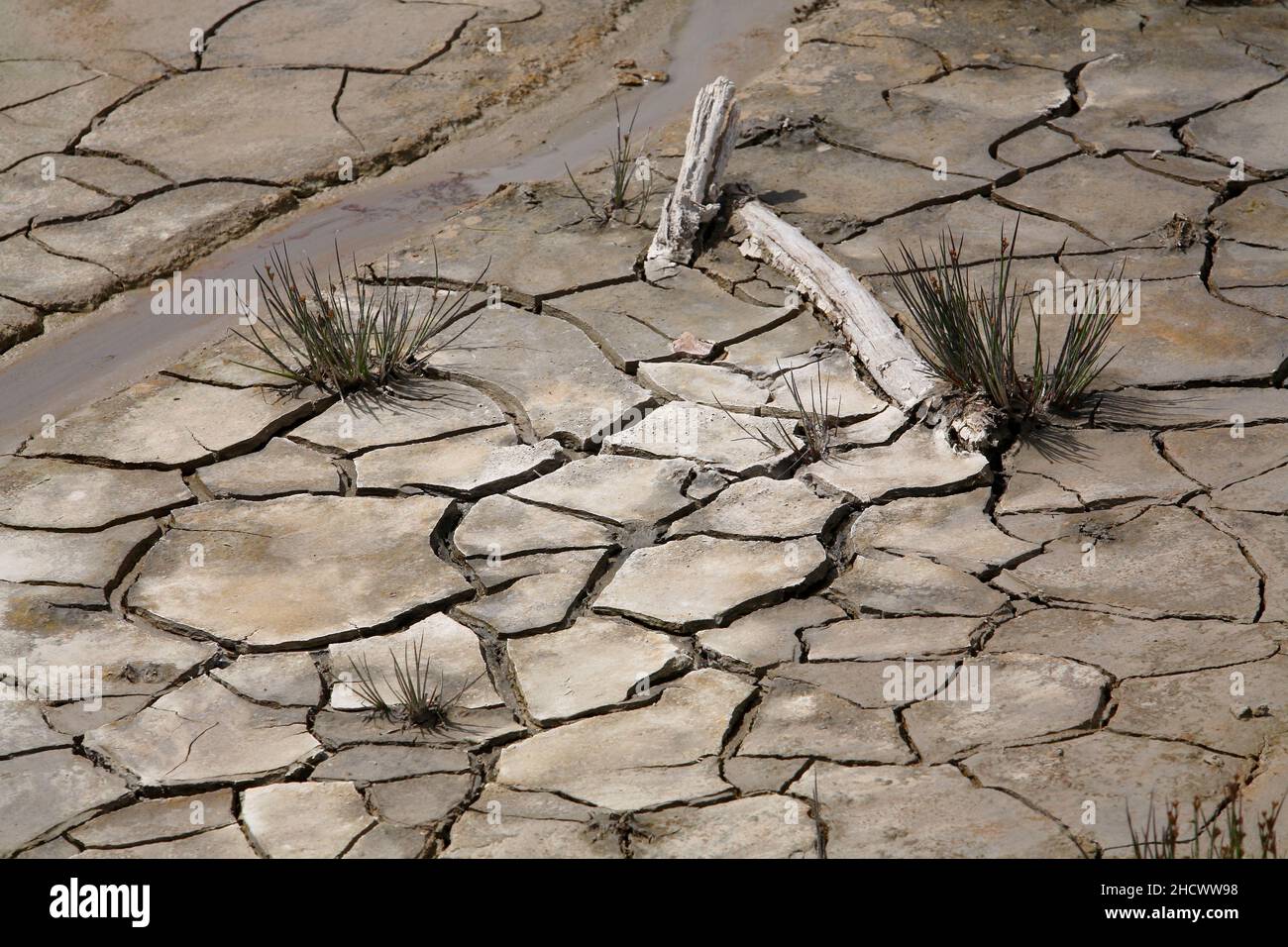 la terra cracked di barren nella siccità Foto Stock