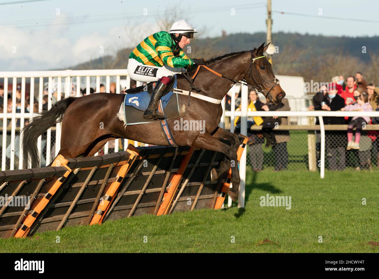 Dame de compagnie correndo a Wincanton il giorno di Santo Stefano 2021 Foto Stock