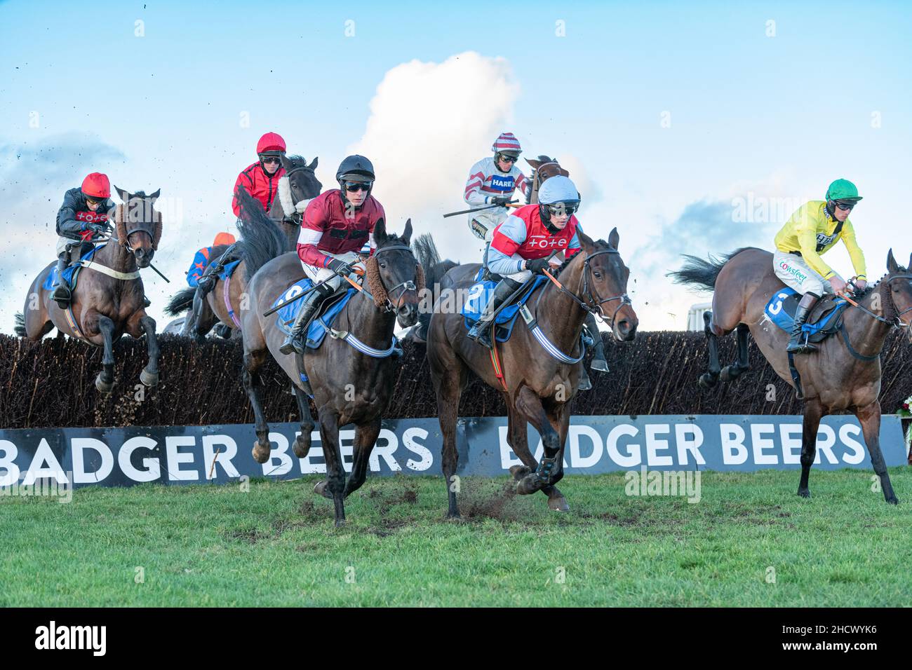 Native Robin vince a Wincanton il giorno di Santo Stefano 2021 Foto Stock