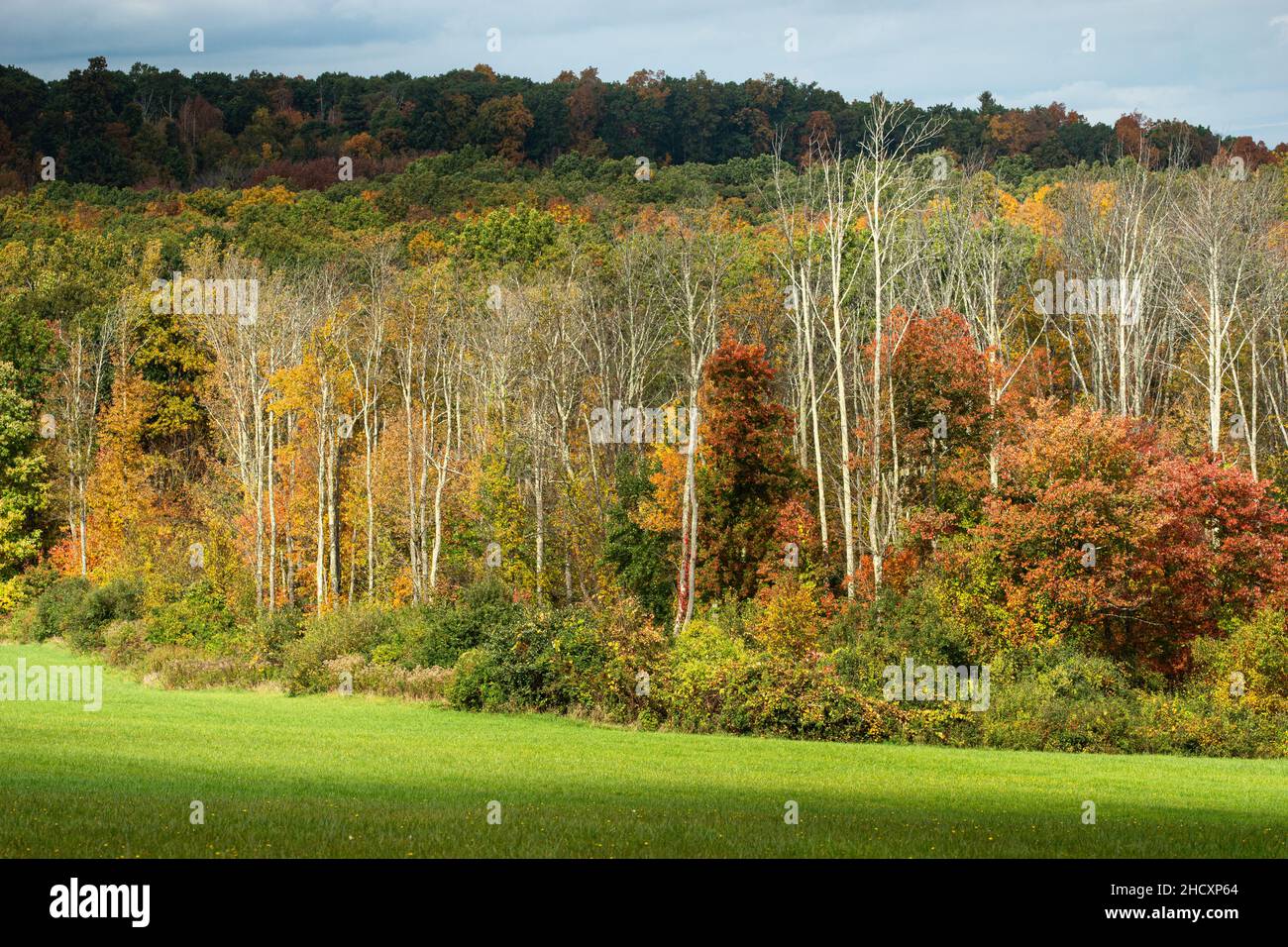 Bellissimo paesaggio autunnale in una giornata di sole Foto Stock