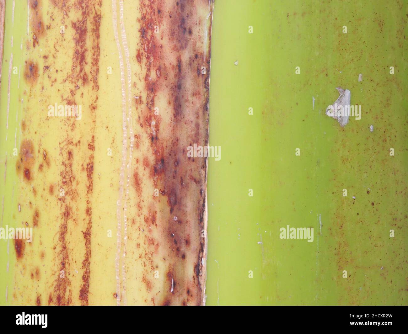 Superficie verde con intemperie irregolari Foto Stock
