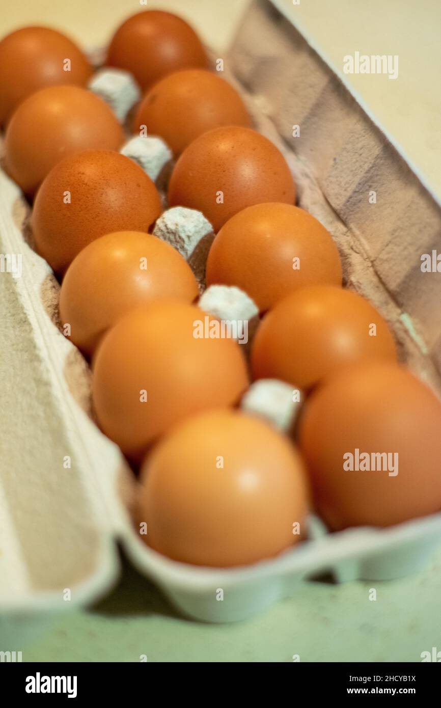 Dozzina di uova di pollo nella scatola delle uova Foto Stock