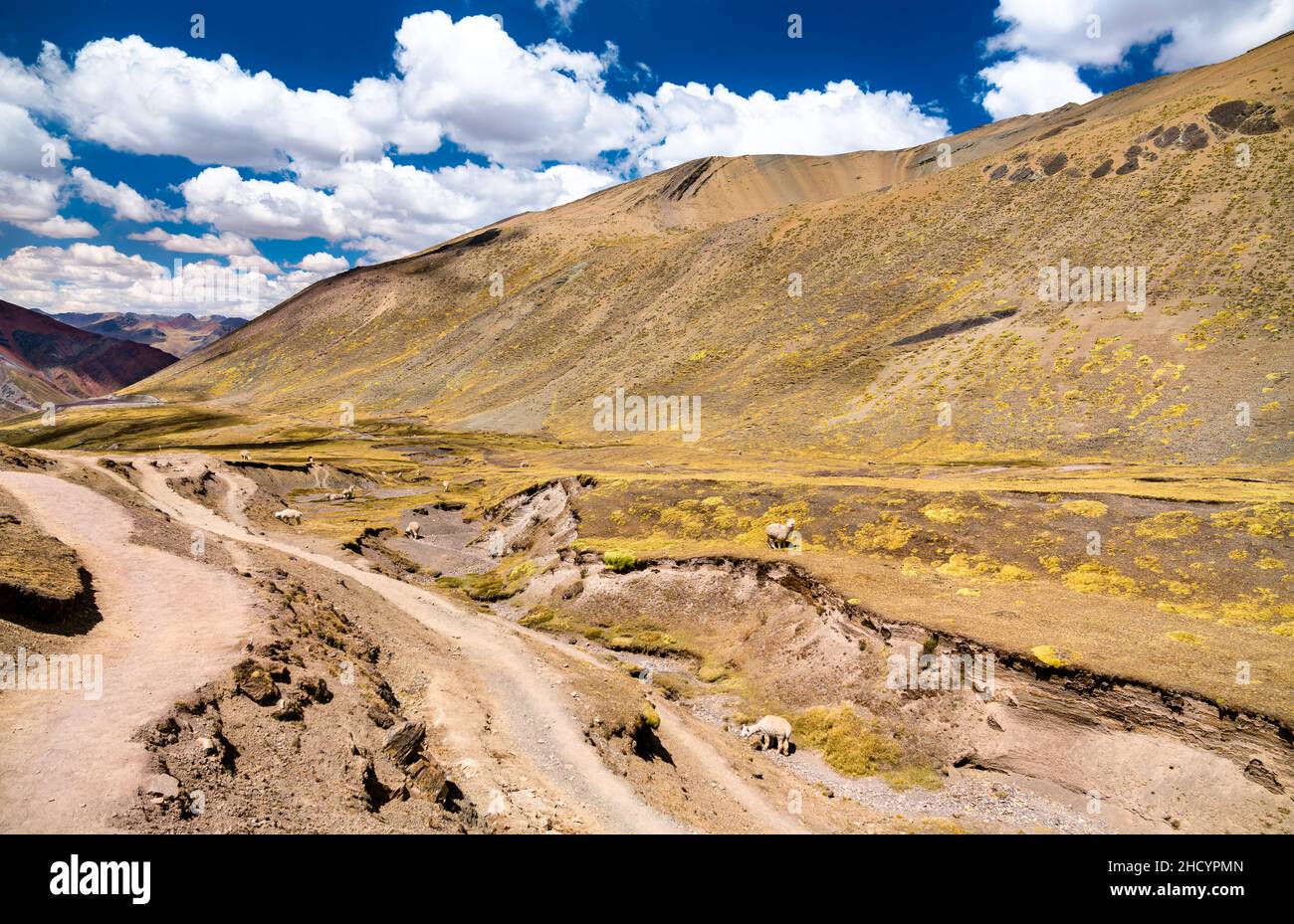 Sali a Vinicunca Rainbow Mountain in Perù Foto Stock