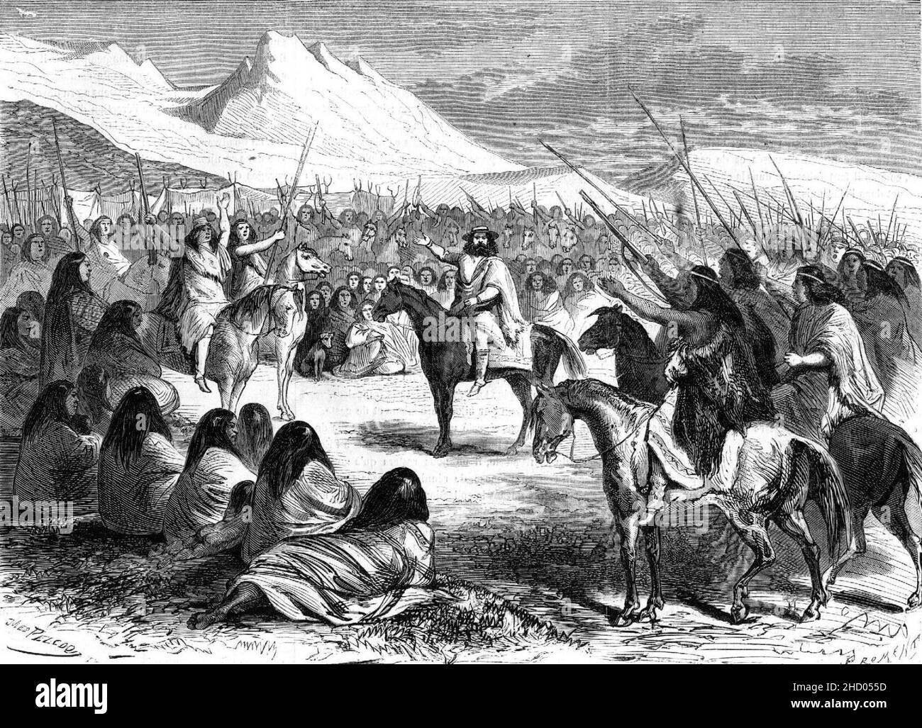 Rey de la Araucanía y Patagonia. Foto Stock