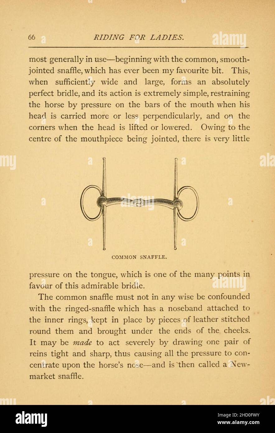 Equitazione per Signore (pagina 66) Foto Stock