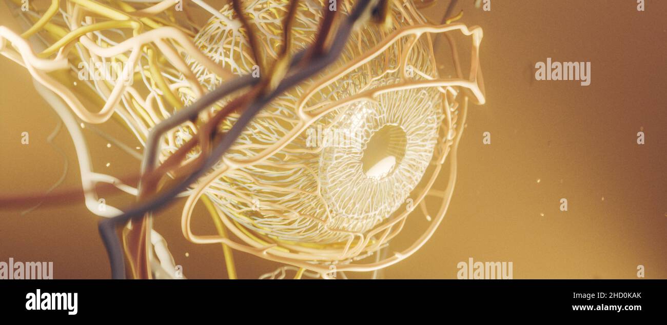 Vista dell'anatomia vascolare dell'occhio umano dalla vista posteriore con colorazione oro e sorgente di luce esterna, anatmia artistica umana Foto Stock