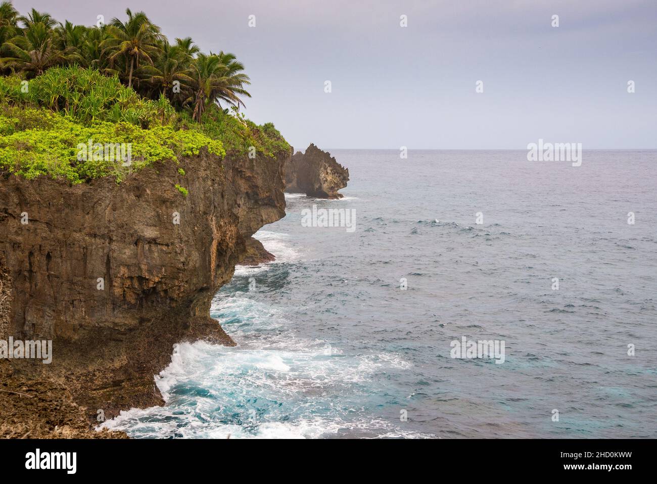 La vegetazione sulla scogliera sopra l'Oceano Indiano sull'Isola di Christmas. Foto Stock