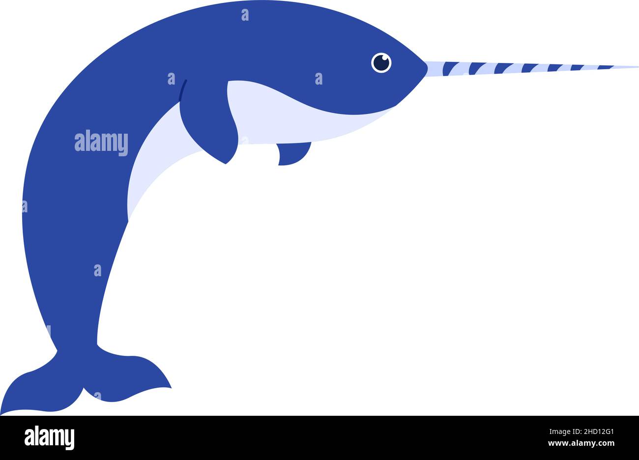 Animale marino narwhale con corno isolato su bianco Immagine e Vettoriale -  Alamy