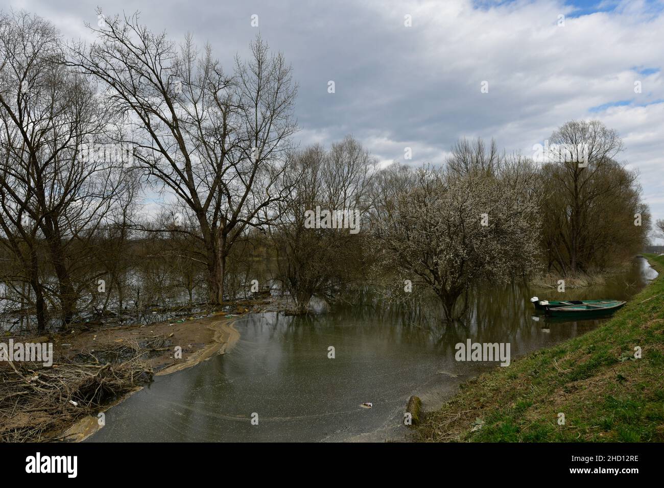 Dopo un'alluvione nel Parco Nazionale Lonjsko Polje in Croazia. Foto Stock