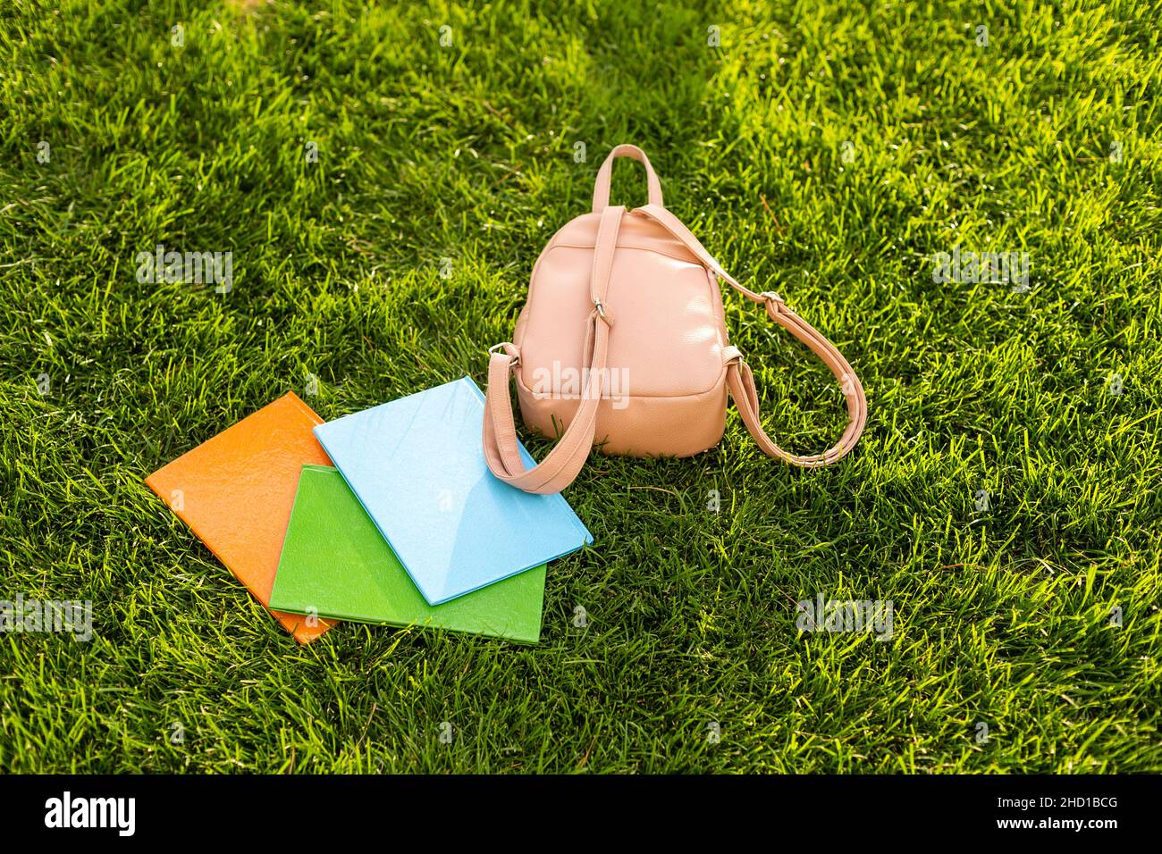 zaino e libri giacciono sull'erba. Foto Stock