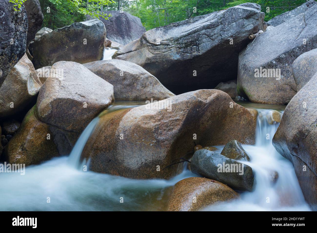 Il fiume Pemigewasset nell'area generale del mulino di Frank Whitehouse degli anni '1890 a Franconia Notch a Lincoln, New Hampshire, in un giorno estivo durin Foto Stock