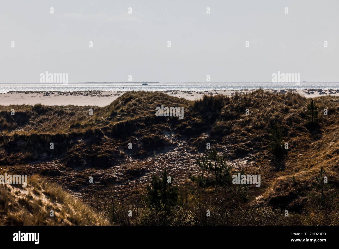 Il sole splende su un paesaggio di dune sull'isola di mare nord di amrum Foto Stock