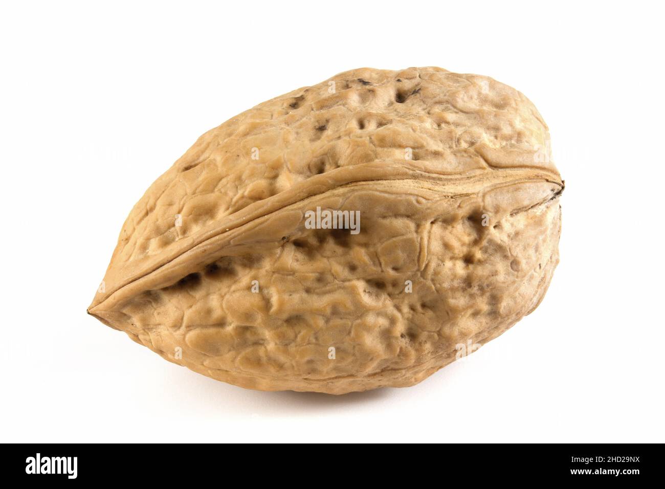 Una noce su sfondo bianco. Frutta pregiata Juglans regia. Il dado è isolato per una selezione rapida Foto Stock