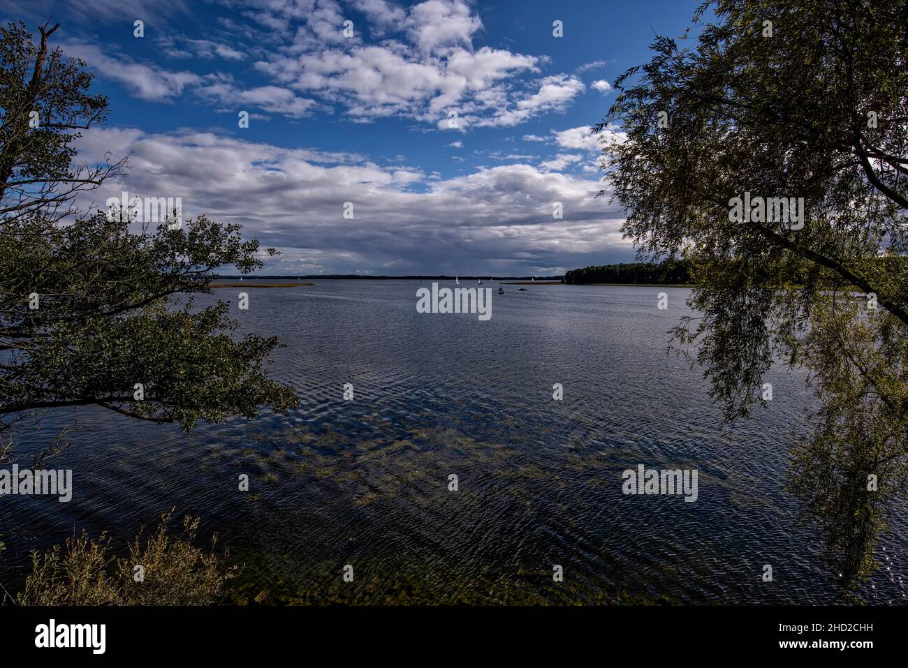Lago Dargin nel distretto dei grandi Laghi Masuriani nella Polonia settentrionale Foto Stock