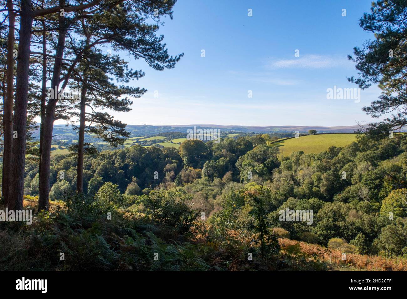 Vista attraverso Dartmoor da vicino Castello Drogo, vicino Drewsteignton, Devon. Foto Stock