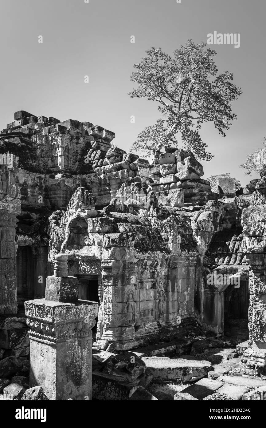 Antiche rovine in Angkor in Cambogia. Fotografia in bianco e nero Foto Stock