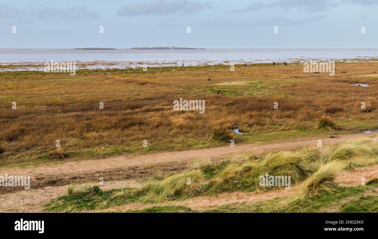 Un panorama multi immagine che domina Red Rocks palude verso Hilbre Island visto il 1 gennaio 2022 vicino a West Kirby, Merseyside. Foto Stock