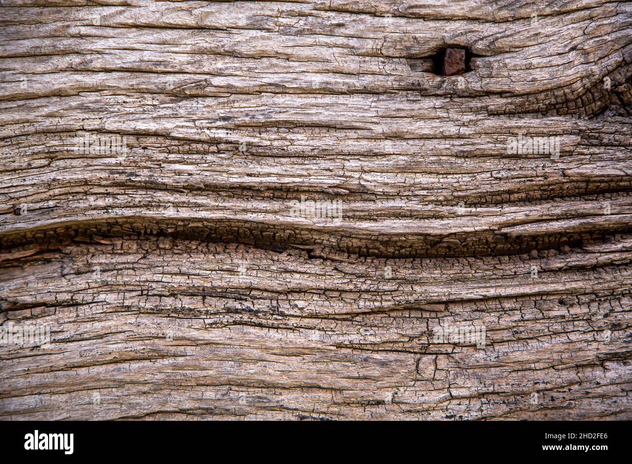 Vecchio motivo di fondo in legno di quercia con intemperie Foto Stock