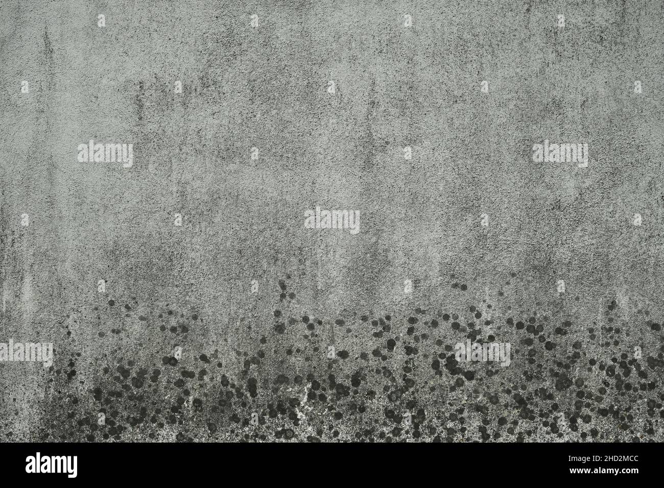 Muro di cemento grezzo afflitto con muffa, grunge sfondo o texture Foto Stock