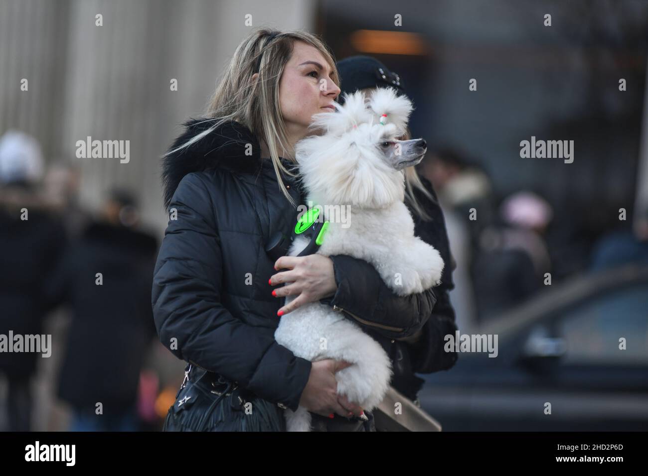 Belgrado durante le vacanze invernali, Serbia Foto Stock