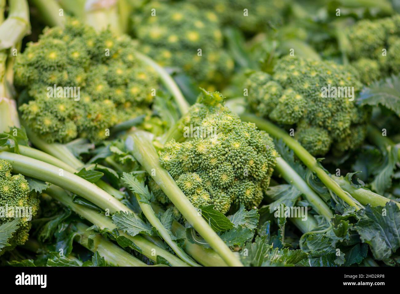 Cime di rapa, rapini o broccoli di rabbia in un mercato alimentare di strada, verdure croceferiche verdi, verdure, cucina mediterranea, Puglia, Italia Foto Stock