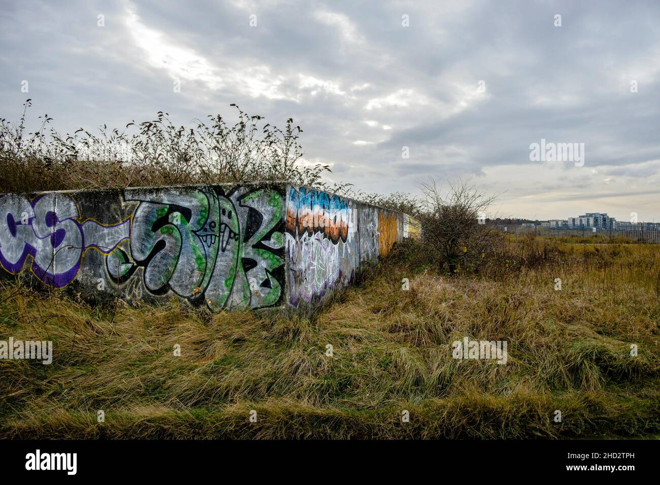 La penisola di Swanscombe sull'estuario del Tamigi nel Kent, ha designato un sito di interesse scientifico speciale nel novembre 2021. Foto Stock