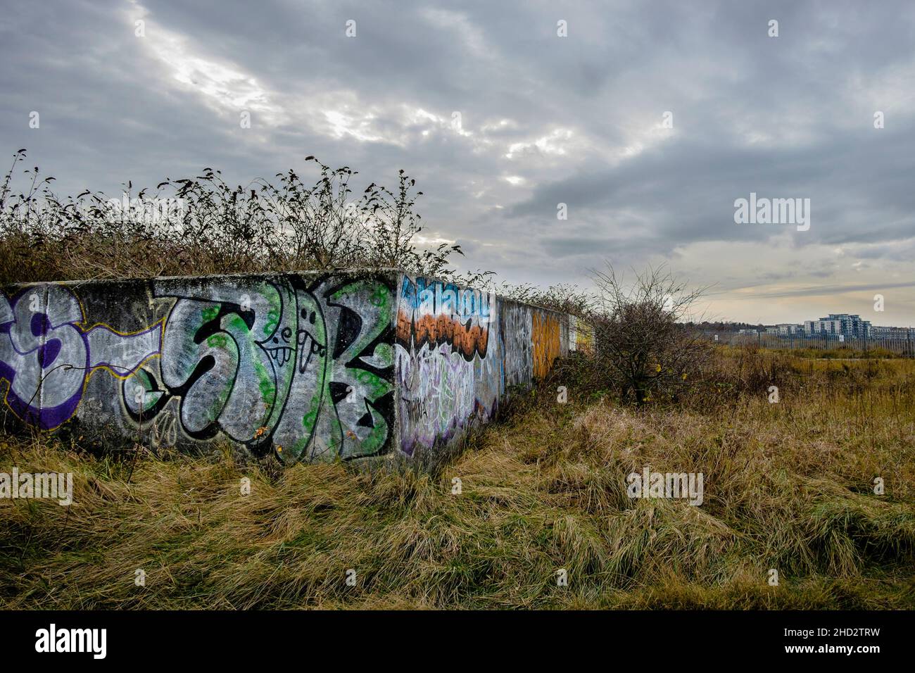 La penisola di Swanscombe sull'estuario del Tamigi nel Kent, ha designato un sito di interesse scientifico speciale nel novembre 2021. Foto Stock