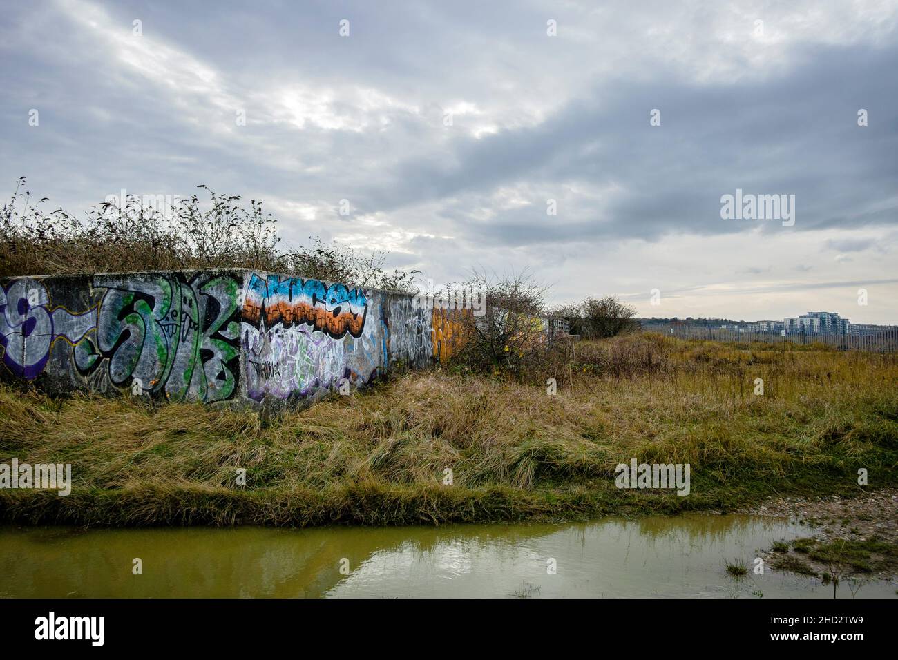 La penisola di Swanscombe sull'estuario del Tamigi nel Kent, ha designato un sito di interesse scientifico speciale nel novembre 2021. Foto Stock